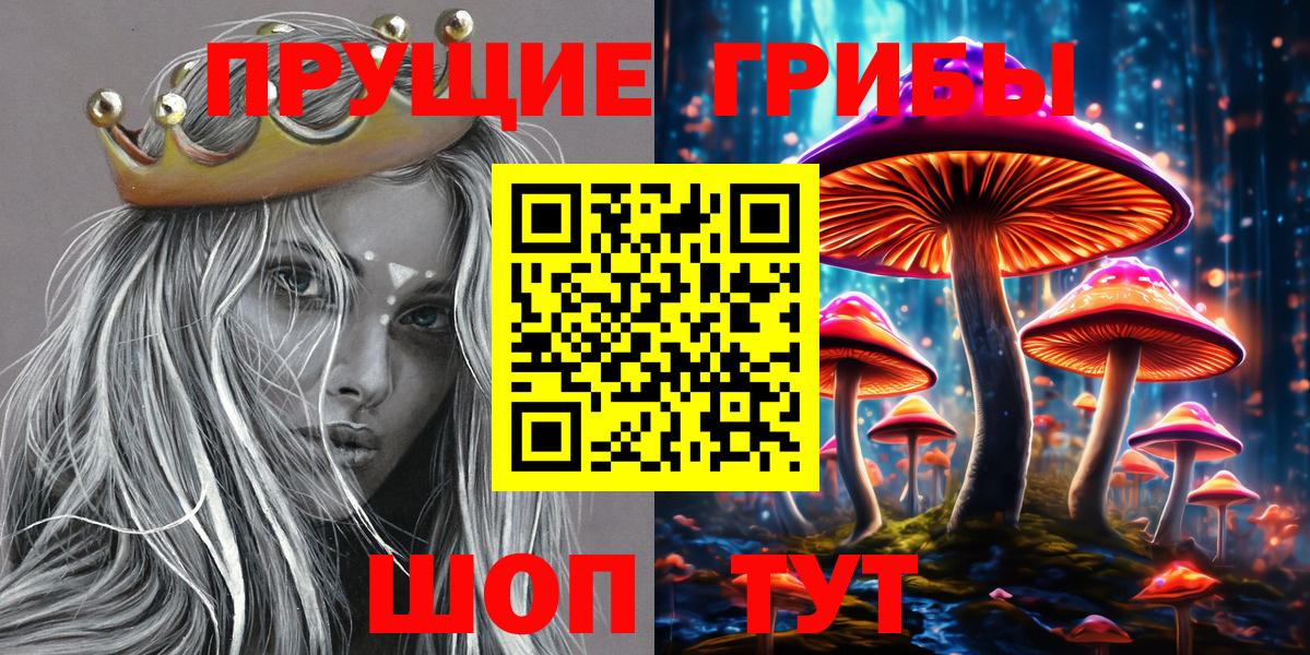 Галлюциногенные грибы Psilocybine cubensis Лабытнанги